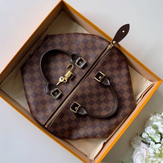 Cheap SPEEDY Louis Vuitton 30 0729